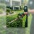 South Riding Landscaping & Outdoor Services by Patriot Pro Solutions LLC